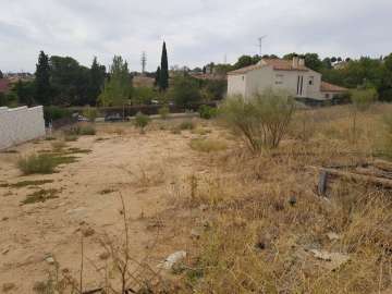 Cenital