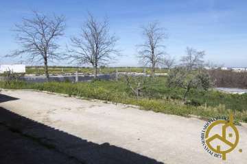 Vistas